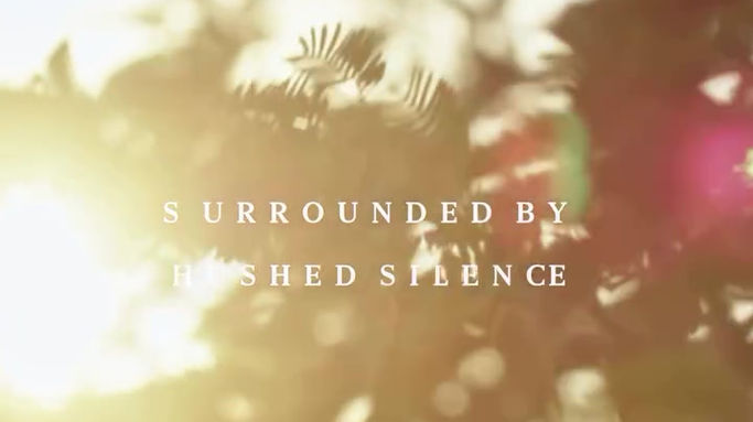 Jacob&Co beachfront living